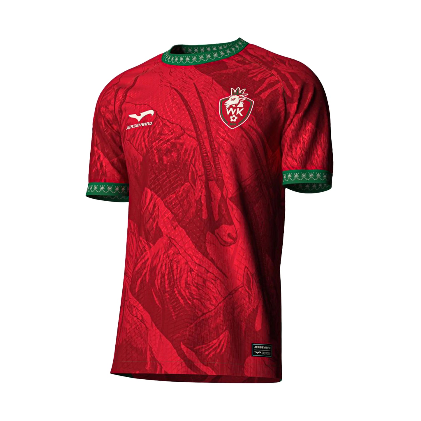 Men's WK 25/26 Oman Authentic Football Jersey